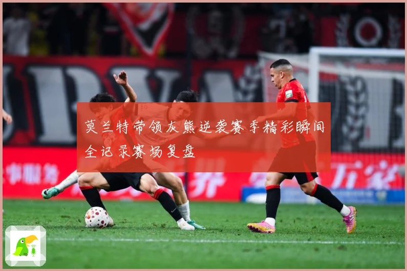 莫兰特带领灰熊逆袭赛季精彩瞬间全记录赛场复盘