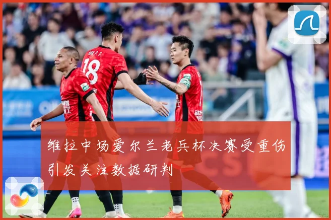 维拉中场爱尔兰老兵杯决赛受重伤引发关注数据研判