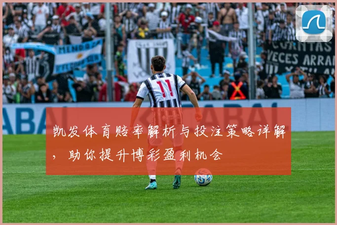 凯发体育赔率解析与投注策略详解，助你提升博彩盈利机会